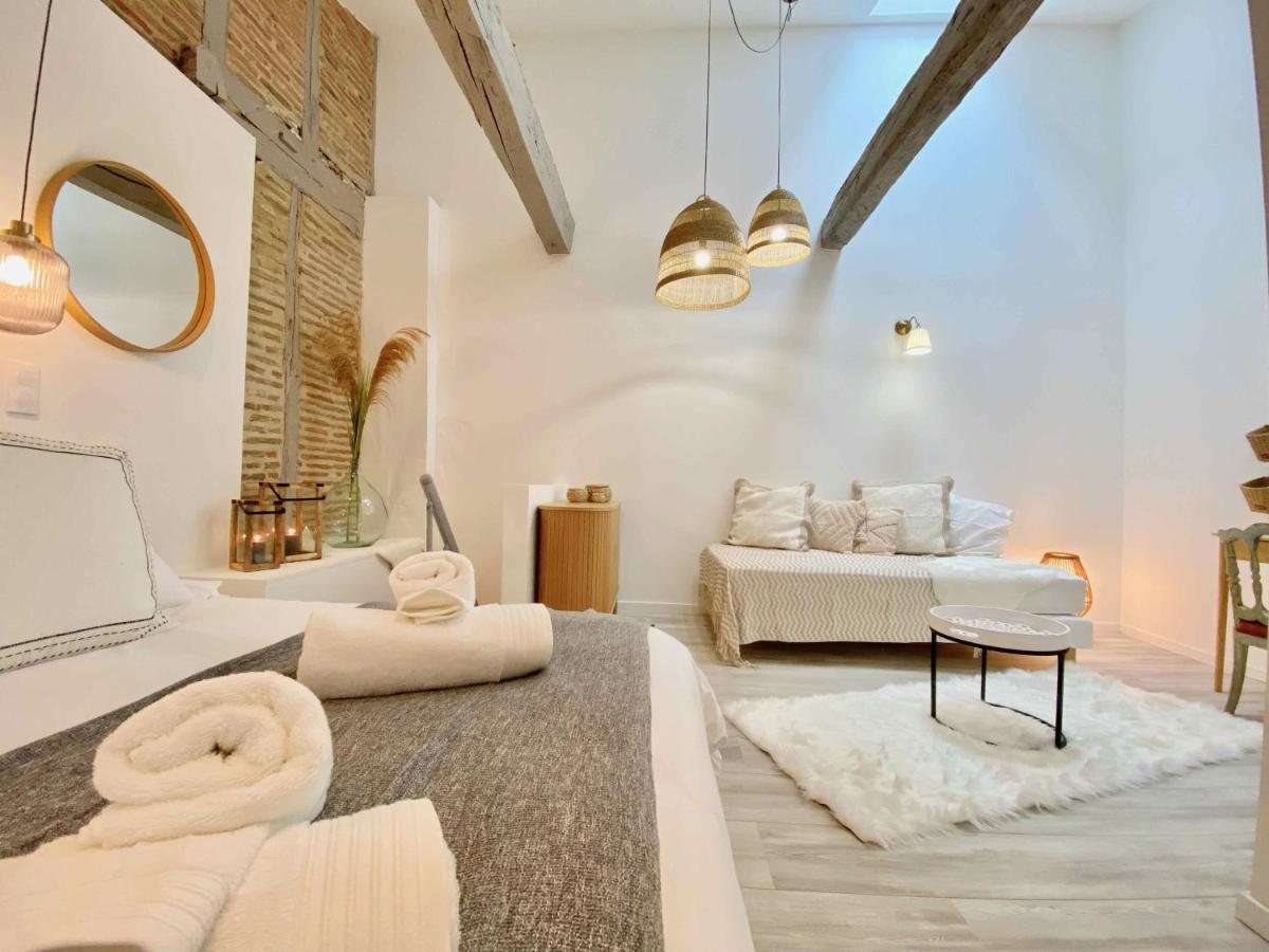 La Parenthese Occitane Daire Castres  Dış mekan fotoğraf